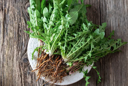 △图片源自视觉中国