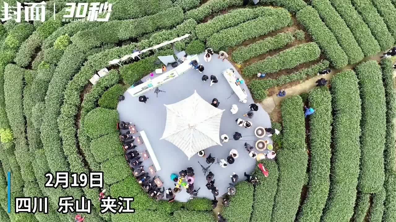 30秒|初春时节 四川夹江举办高山云雾茶论坛_凤凰网视频_凤凰网