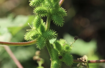 △图片源自视觉中国