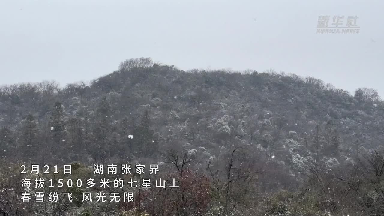 湖南张家界：二月二春雪纷飞 漫山铺银兆丰年