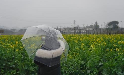 ▲2月20日,璧山区七塘镇,“走进区域看发展 川渝奋楫谱新篇”网上主题宣传采访团记者在田坎上拍摄乡村美景。记者 崔力 摄/视觉重庆