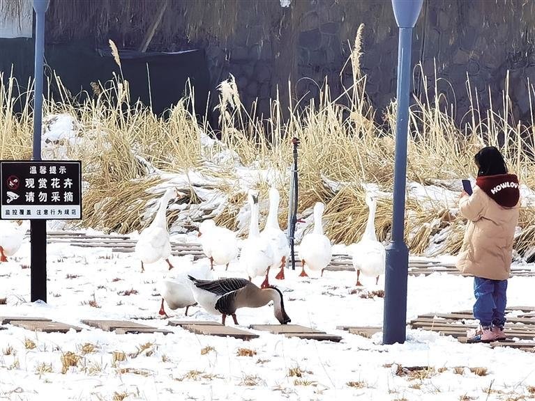 人与自然和谐相处 □肖洁 摄