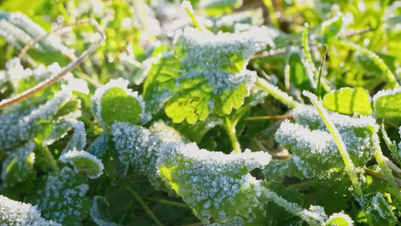 雨水·渭南丨闹社火，祈丰年