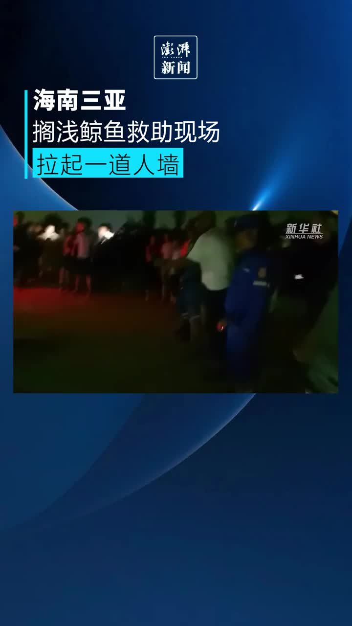 为爱联手，搁浅鲸鱼救助现场拉起一道人墙