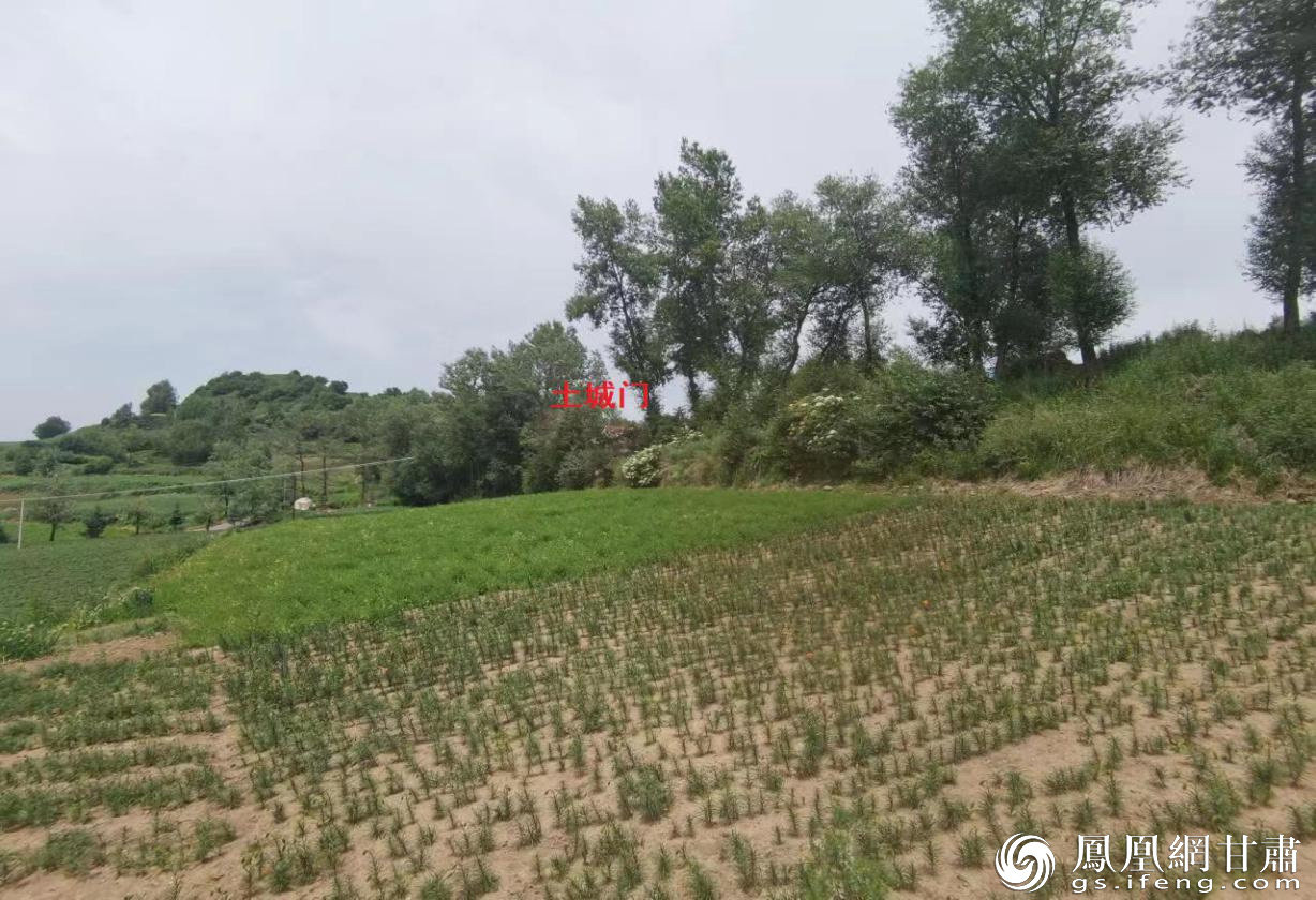 土城门南面的城墙一直延至南山脚下