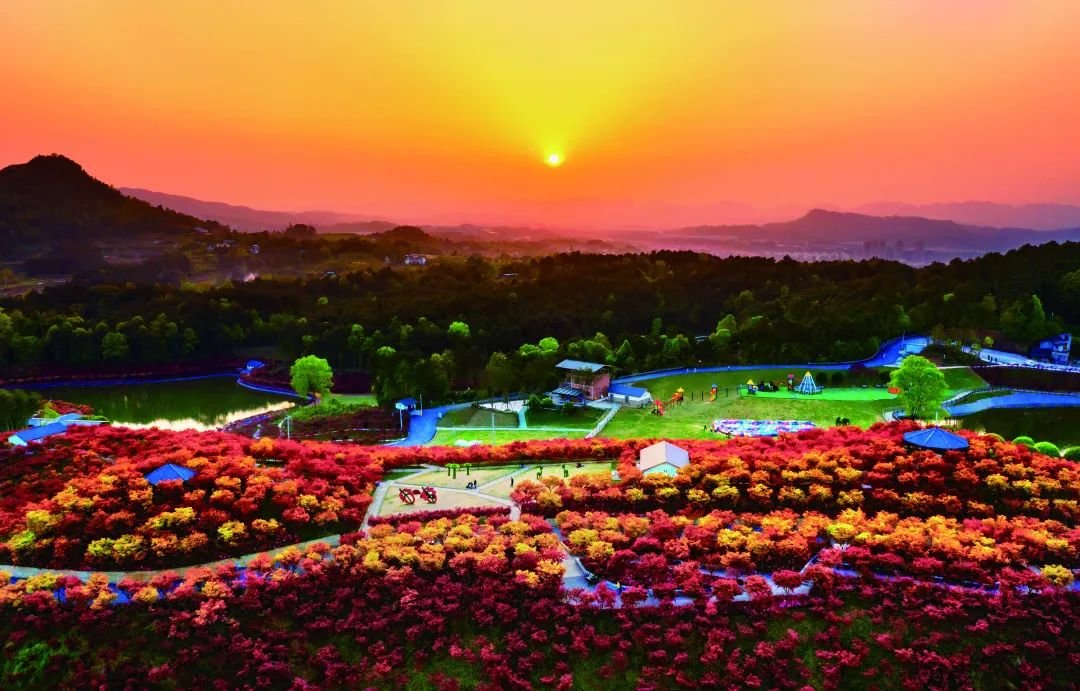 多彩植物园