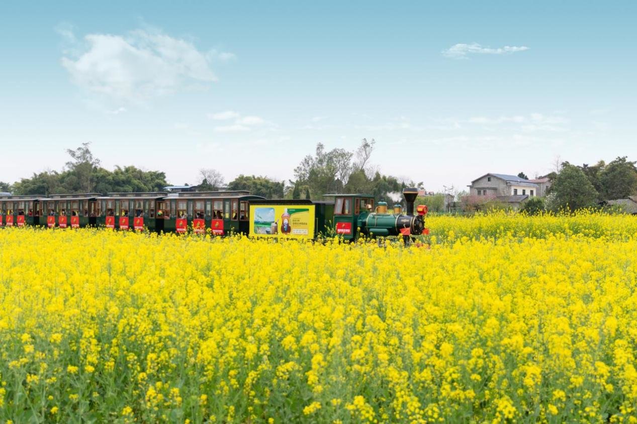 陈抟故里·崇龛花海
