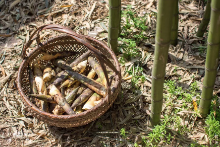 △图片源自视觉中国