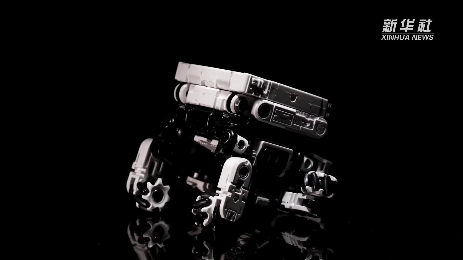 走进企业看信心｜《流浪地球2》机器狗“笨笨”火了 小玩具蕴藏大产业