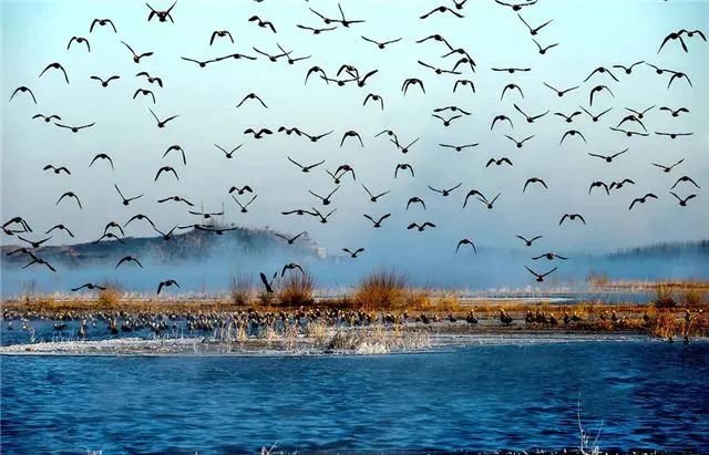 武威民勤 大漠长河里的诗与远方