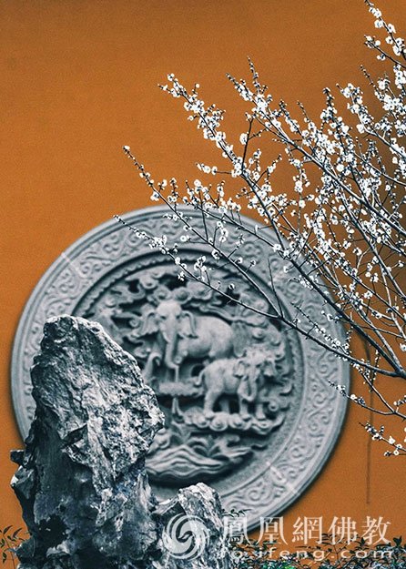 永福探梅：杭州永福寺释普玄参选作品｜“云游寺院”摄影展