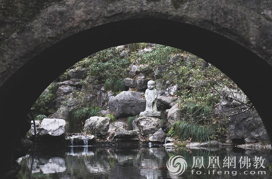 永福探梅：杭州永福寺释普玄参选作品｜“云游寺院”摄影展