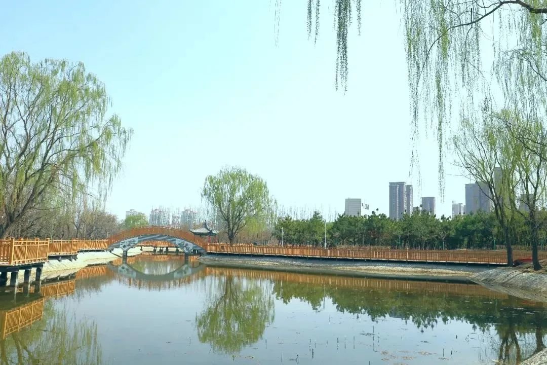 约会春天 你最想去武威哪里打卡？