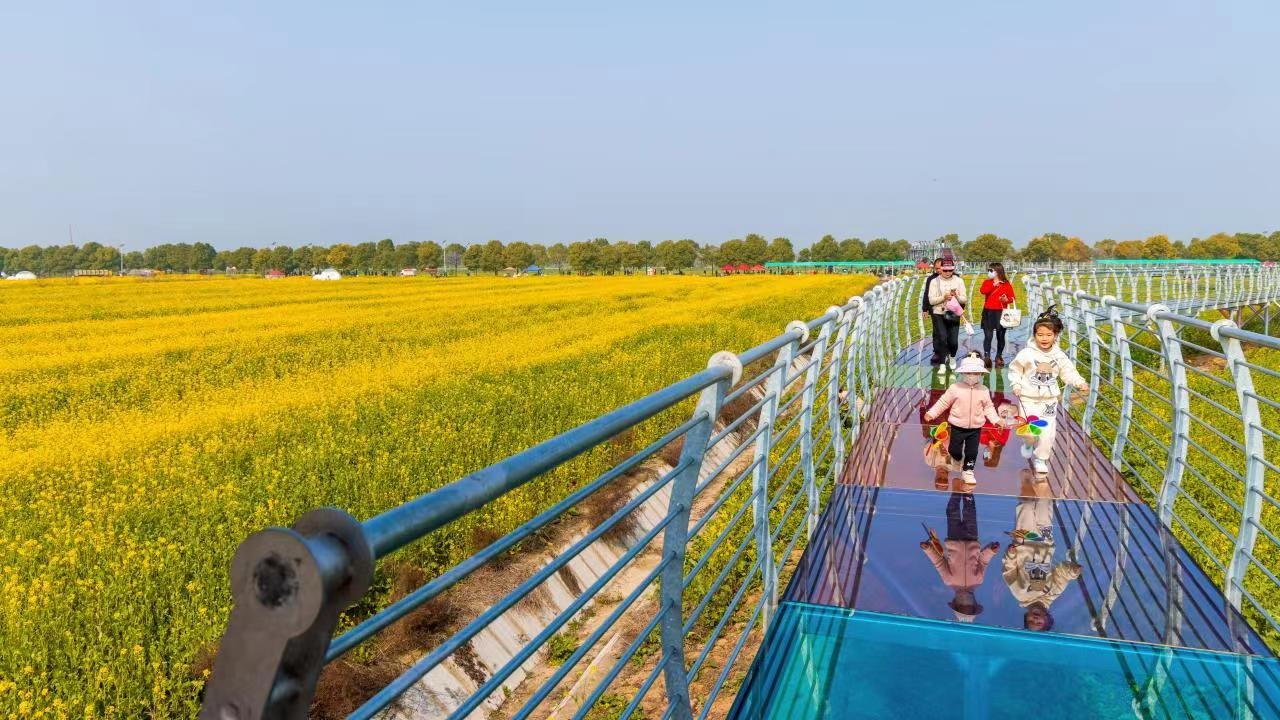 万亩花海已上线 第十届知音故里（蔡甸）消泗油菜花节开幕