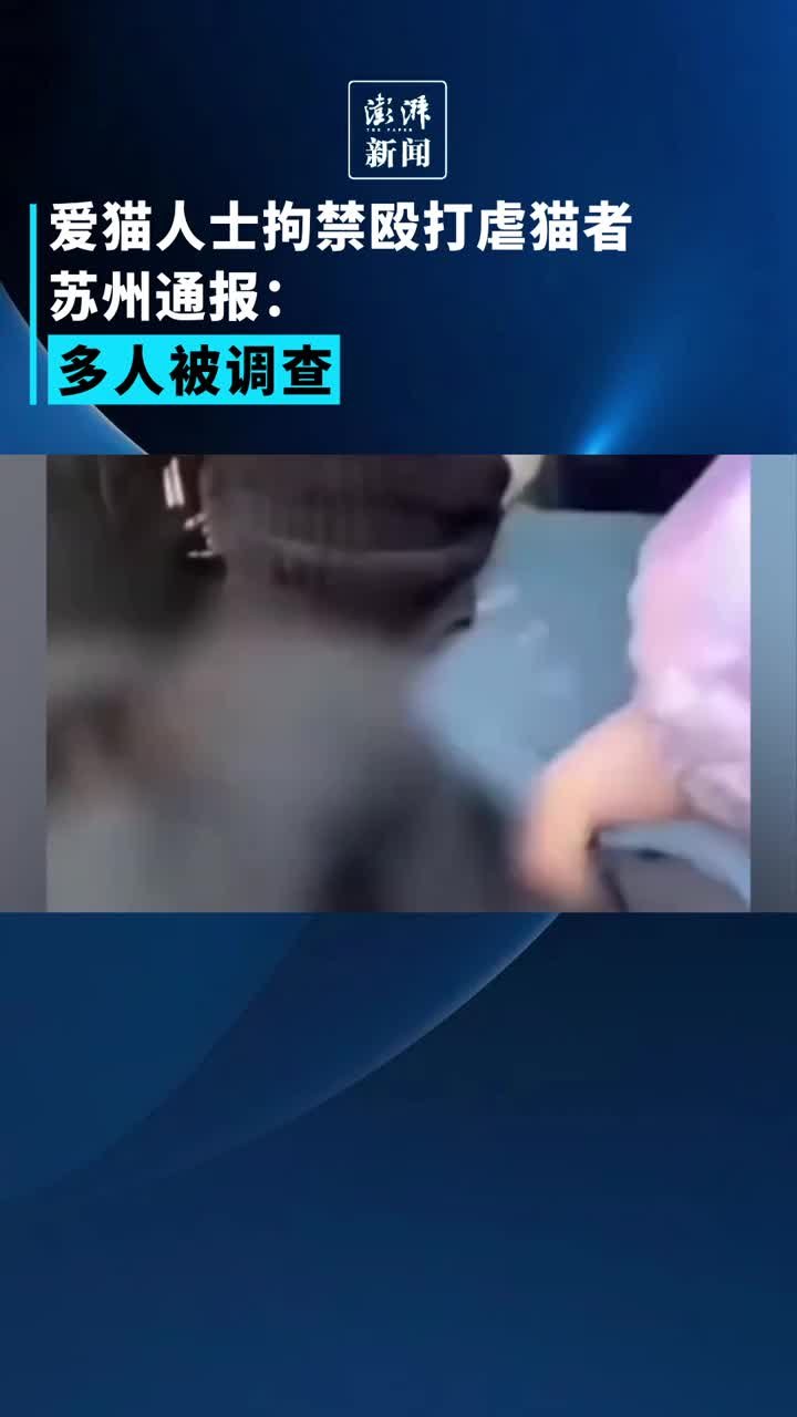 爱猫人士拘禁殴打虐猫者，苏州通报：多人被调查