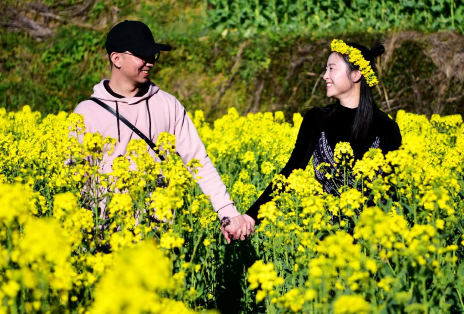 婺源篁岭油菜花全面盛放！拉开中国春季踏青赏花序幕