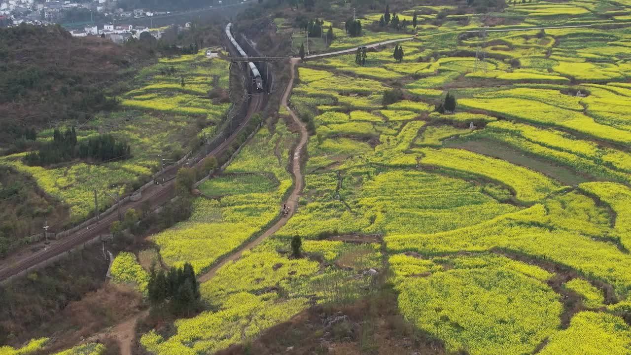 云南开行“赏花”旅游专列：卧铺列车全程3天2晚