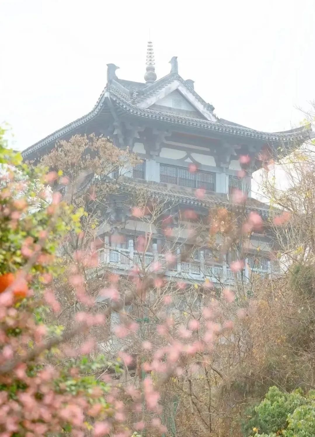 △甜城湖畔，正值花期。/微博@内江文旅
