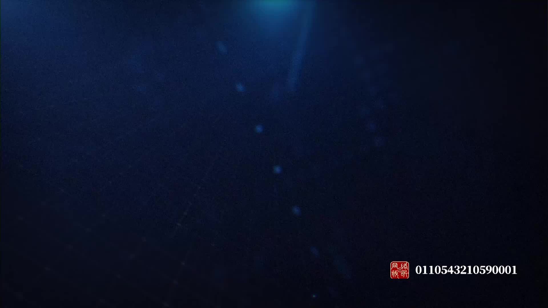 M3平替？艺威赛道试驾比亚迪海豹四驱版