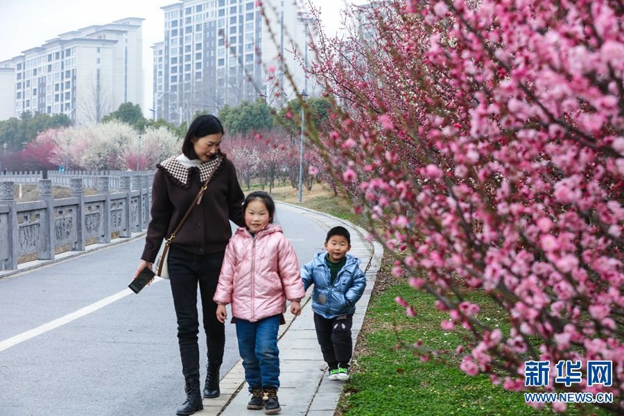 2月25日,游客在河南省信阳市光山县官渡河风景区光州公园赏花游玩。