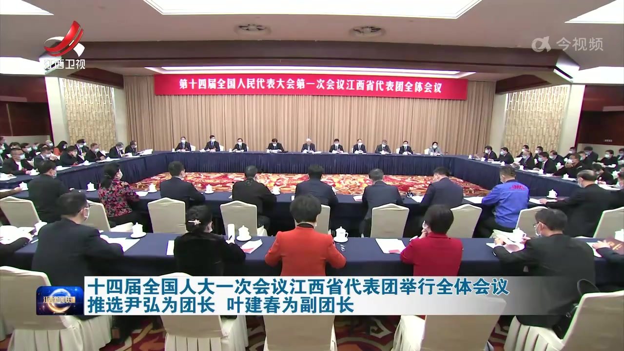 十四届全国人大一次会议江西省代表团举行全体会议推选尹弘为团长