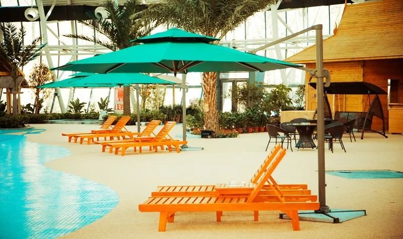 约会春天 你最想去武威哪里打卡？