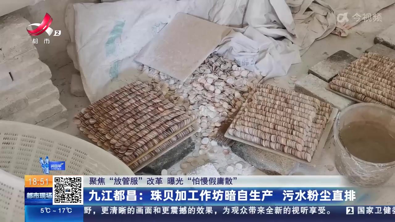 九江都昌：珠贝加工作坊暗自生产 污水粉尘直排凤凰网视频凤凰网 