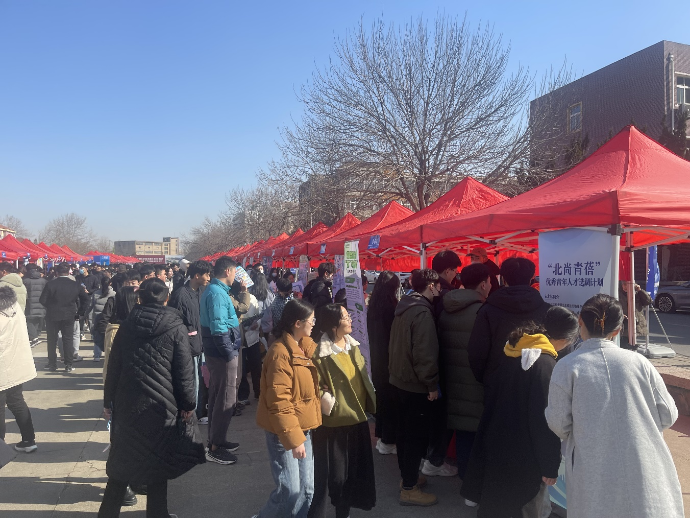 以产引才、以才兴产！市北区开拓青年人才招引新局面