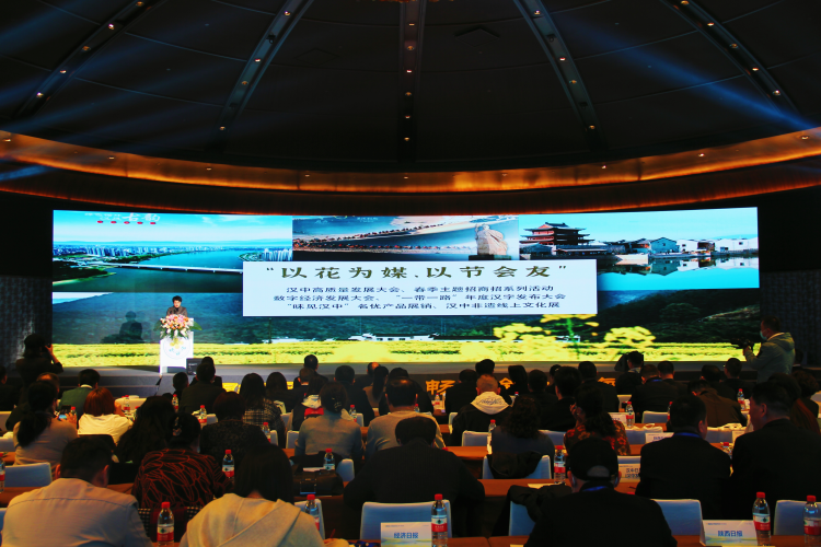 图片6
