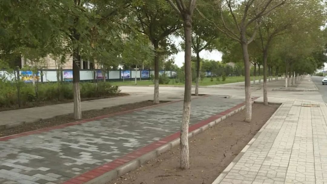 △金昌城市道路绿化改造提升