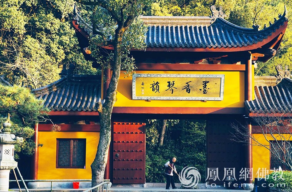 永福探梅：杭州永福寺释普玄参选作品｜“云游寺院”摄影展