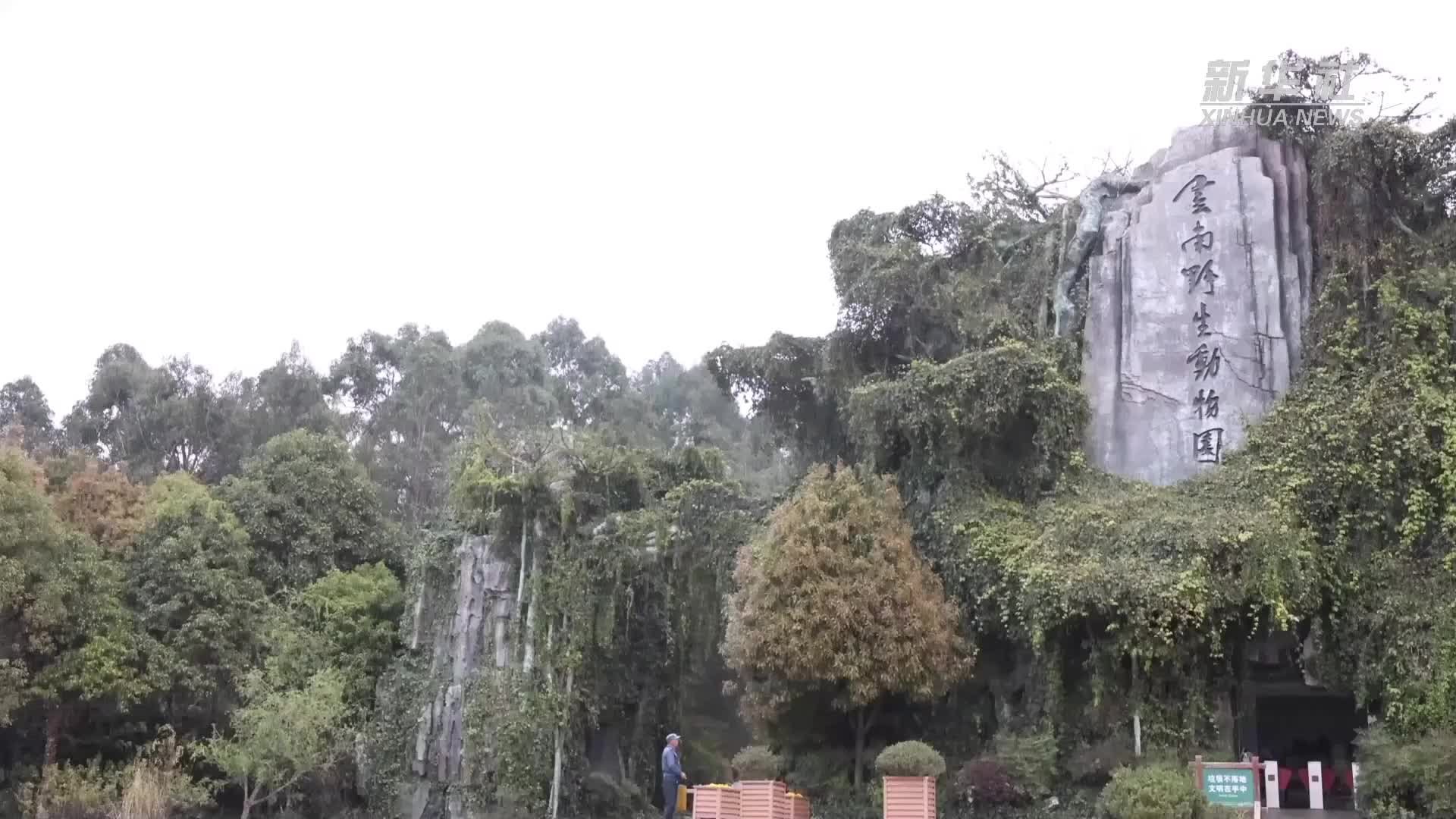 世界野生动植物日｜在春城 追寻人与自然和谐之爱