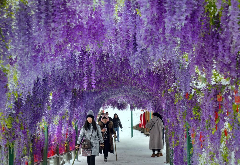 ↑游客在洛阳市栾川县老君山风景区游玩（2月23日摄）。