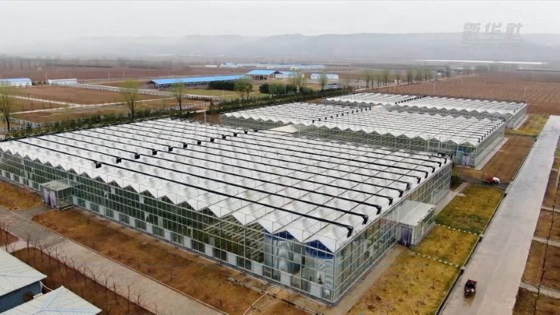 青绿满室春来早 陇原“棚”勃向上好“钱”景