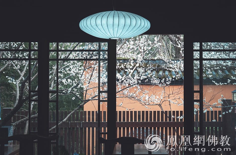 永福探梅：杭州永福寺释普玄参选作品｜“云游寺院”摄影展