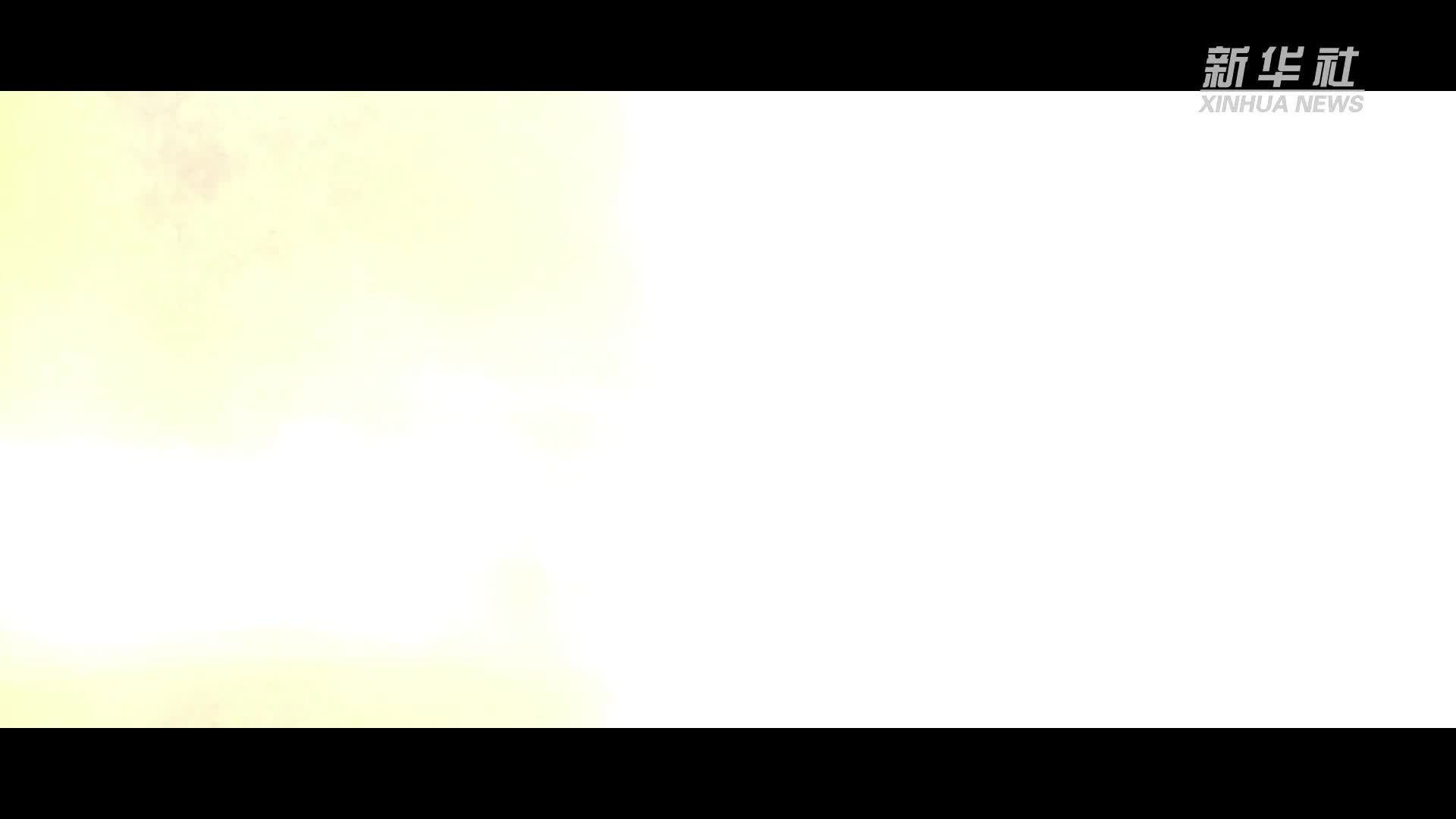 十年两会·温暖记忆｜“从揪心到放心，总书记始终惦记着困难群众”