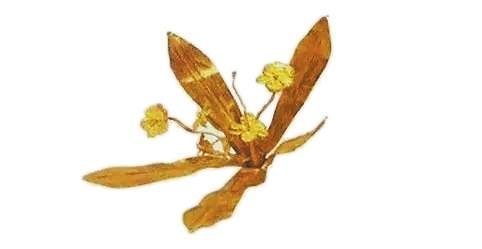 高台县魏晋墓出土的首饰“金花”