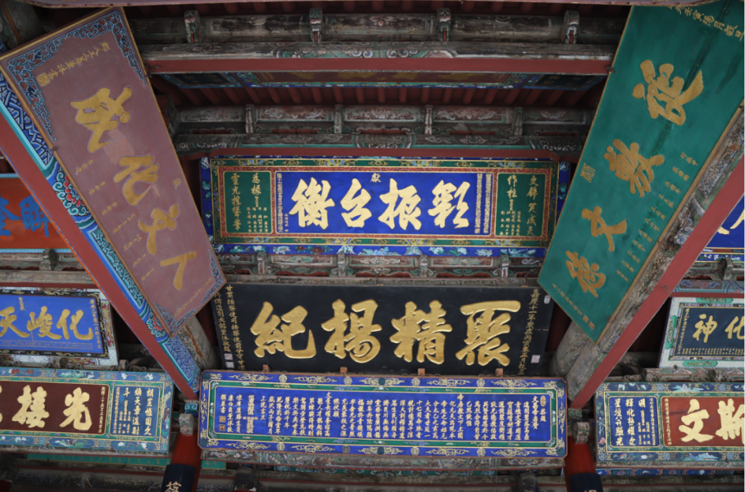 约会春天 你最想去武威哪里打卡？