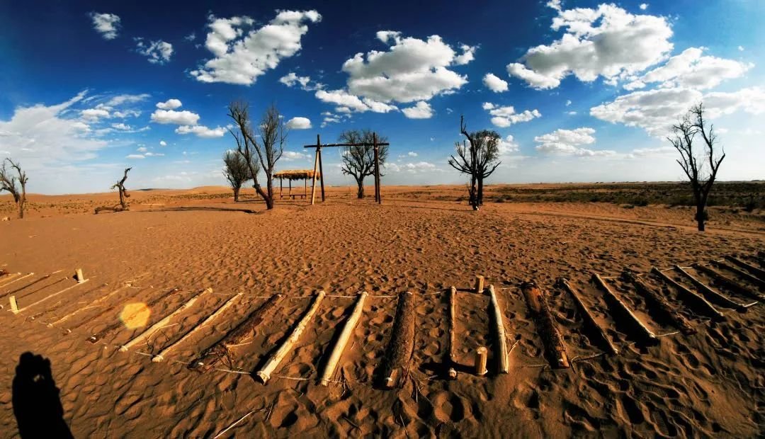 约会春天 你最想去武威哪里打卡？