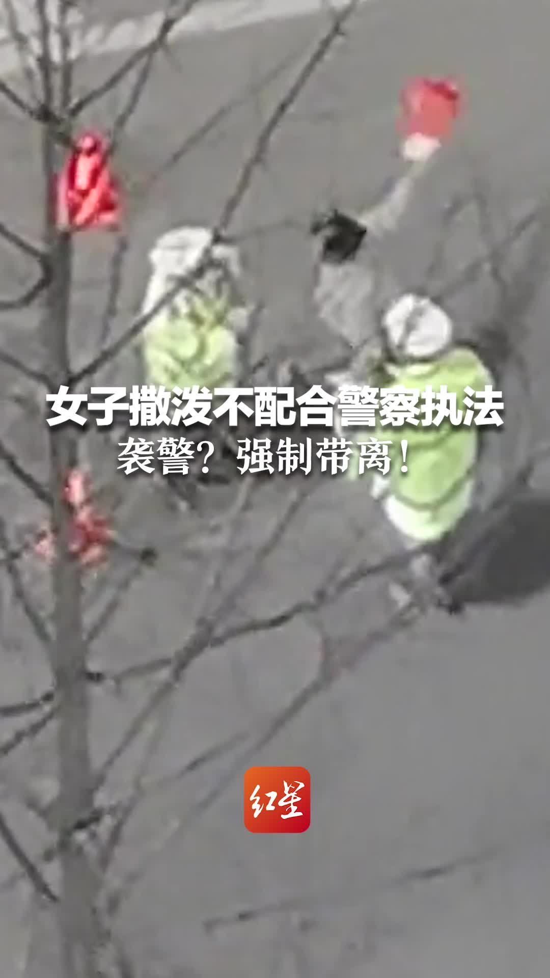 女子撒泼不配合警察执法 袭警?强制带离_凤凰网视频_凤凰网