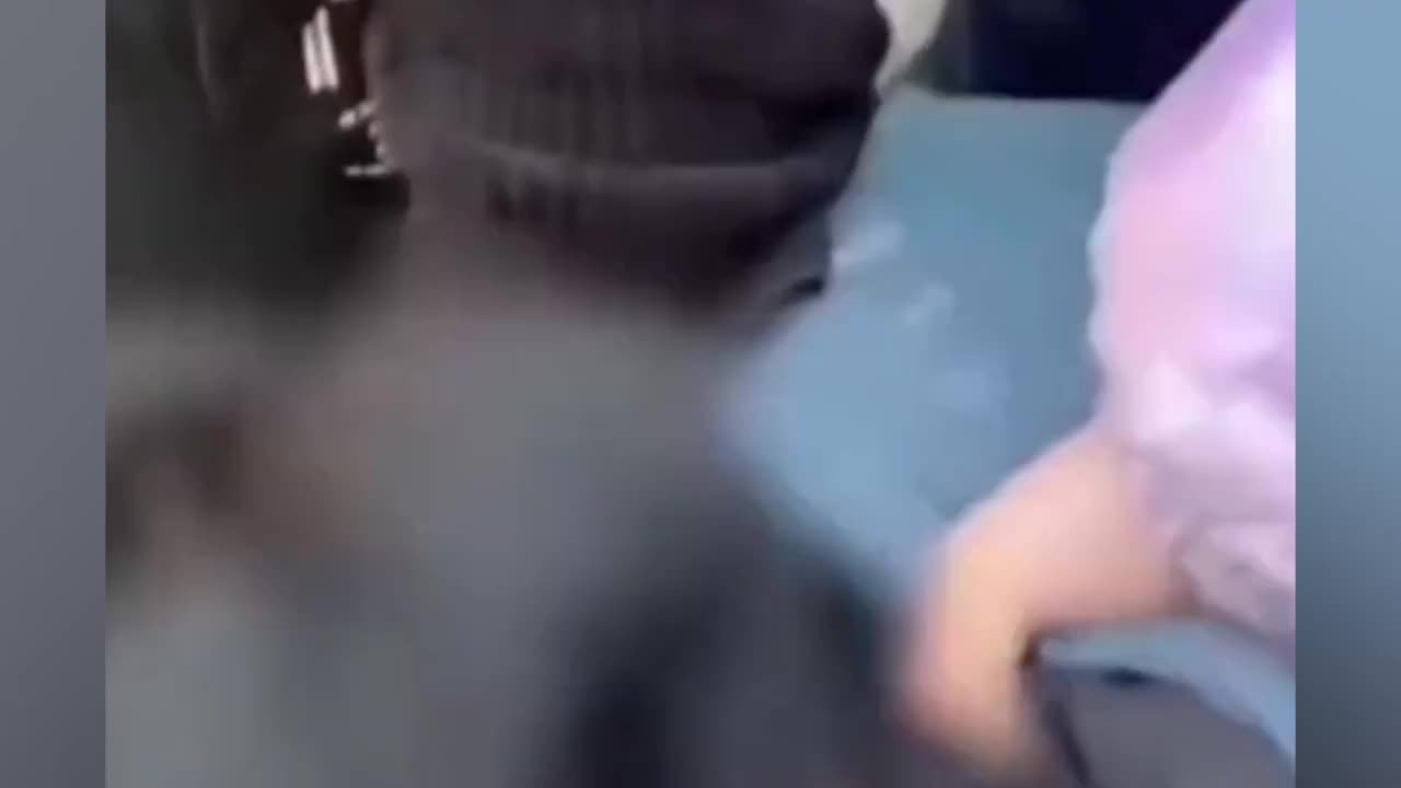 苏州通报“爱猫人士拘禁殴打虐猫者”：多人涉违法犯罪被调查