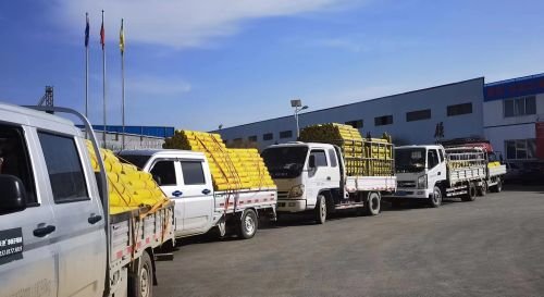 图一为甘肃宏鑫农业科技公司院内，拉运农资的车辆排起长队。王斌 摄