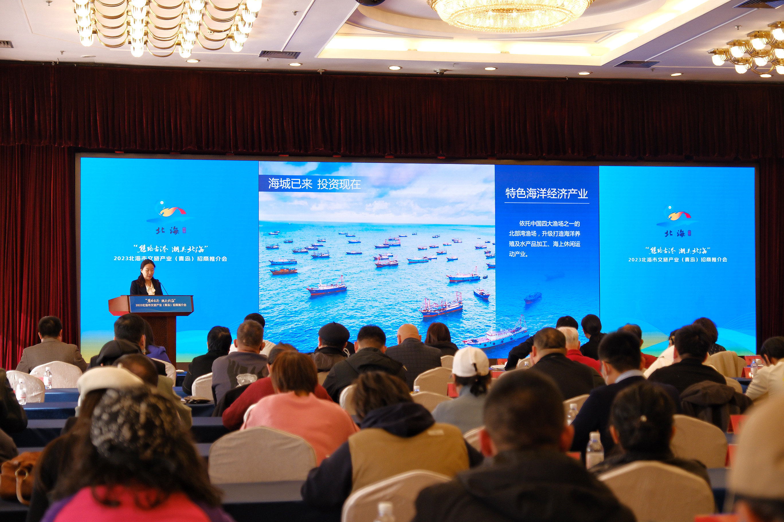 深化合作，共谋发展 | 2023北海市文旅产业（青岛）招商推介会成功举办