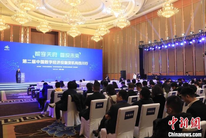 第二届中国数字经济投融资机构四川行活动。　王磊　摄