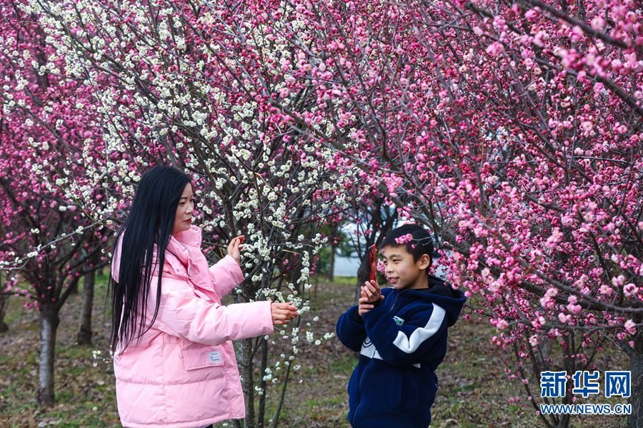 2月25日,游客在河南省信阳市光山县官渡河风景区光州公园赏花游玩。