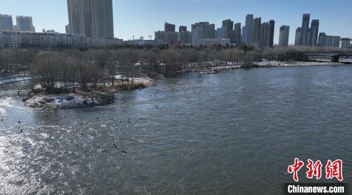 松花江流域吉林市段无劣V类水体