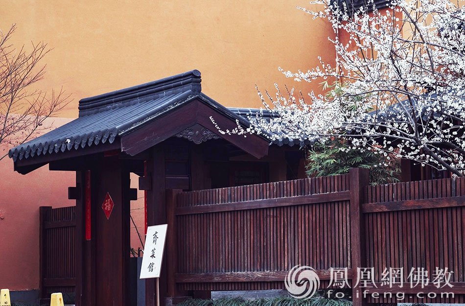 永福探梅：杭州永福寺释普玄参选作品｜“云游寺院”摄影展