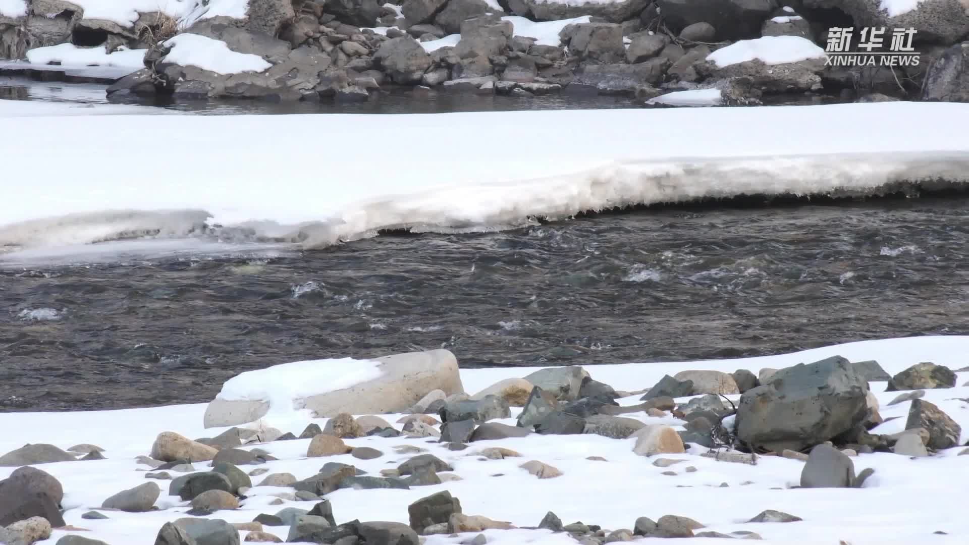 吉林珲春：电力助推冷水鱼产业升级