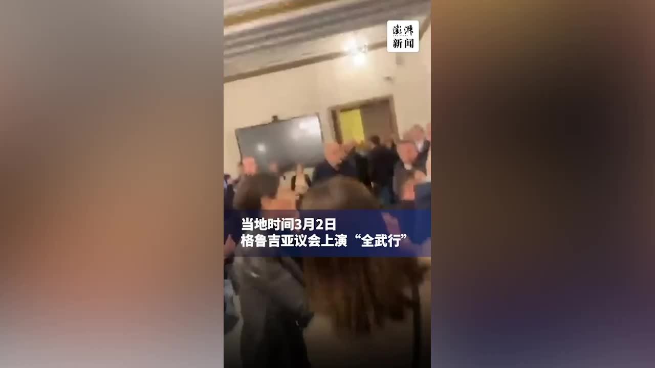 格鲁吉亚议会爆发冲突，议员因政见不合大打出手