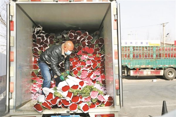 图为山西农谷青创园三象花艺基地工人在搬运鲜花。通讯员 阴 娜 摄